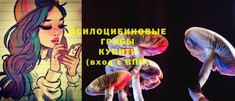 Псилоцибиновые грибы MAGIC MUSHROOMS  OMG маркетплейс  Высоковск  наркотики 